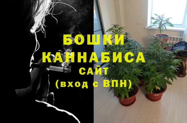 стаф Наволоки